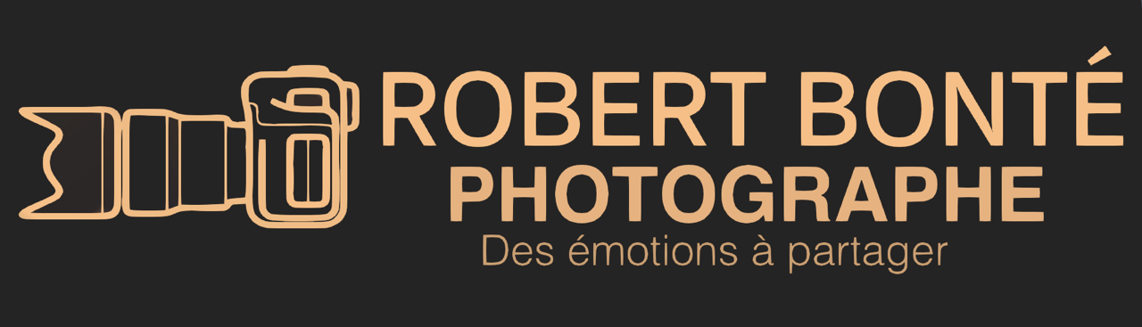 Ibob93 Photographie